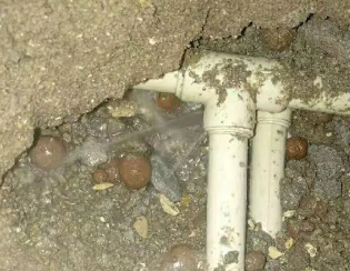 七星卫生间测漏