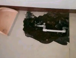 七星卫生间测漏水多少钱